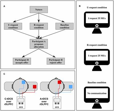 Transcranial Direct Current Stimulation Modulates the Effect of Unreasonable Request in the Context of Peer Punishment